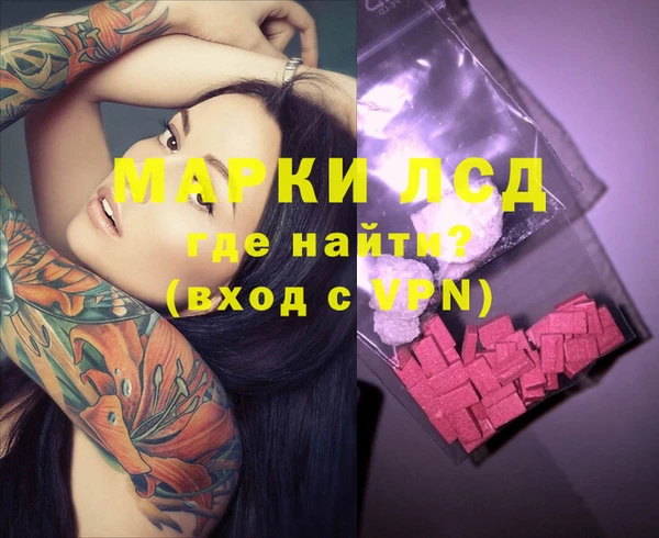 мяу мяу мука Беслан