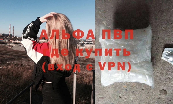 мяу мяу мука Беслан