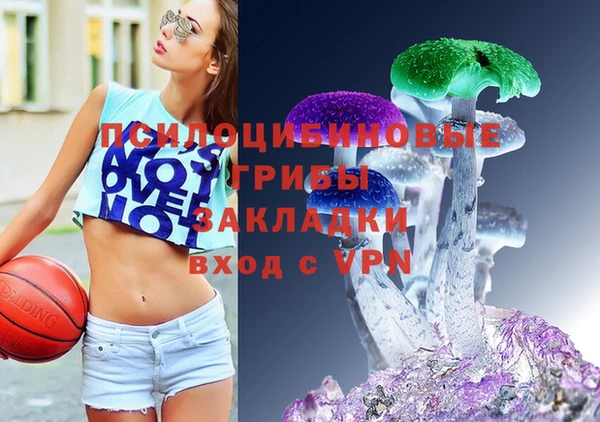 MDMA Premium VHQ Нязепетровск